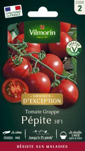 Tomate Pépite F1 - Graines d'Exception